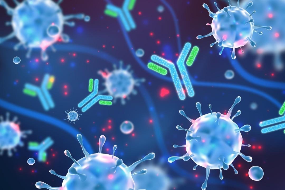 Antibodies responding to pathogens in an immune-system illustration